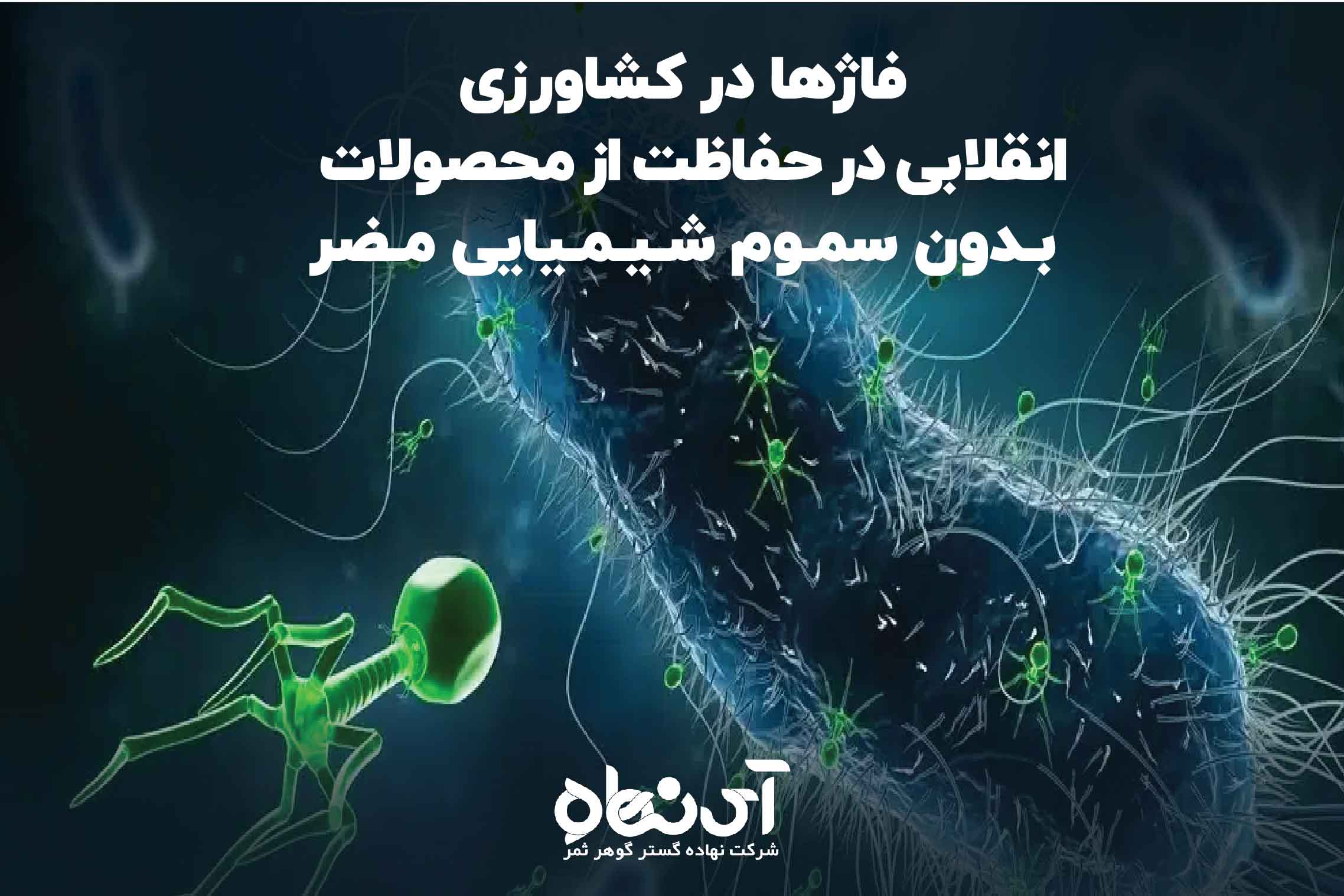 فاژها در کشاورزی، انقلابی در حفاظت از محصولات بدون سموم شیمیایی مضر